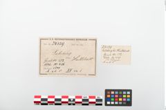 Etiketten zu Bronzeknopf (NHMW-PRAE-024129)